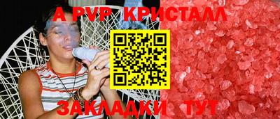 шишки Можга