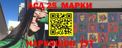 шишки Можга
