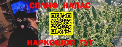 шишки Можга