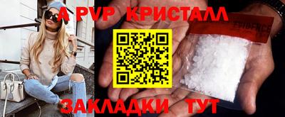 шишки Можга