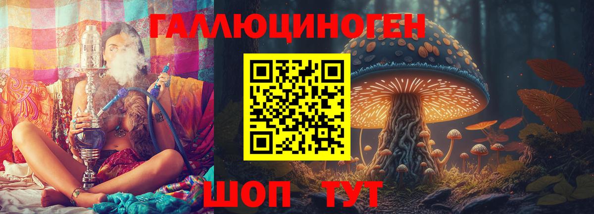 Галлюциногенные грибы Psilocybine cubensis  Вход с VPN  Псилоцибиновые грибы Psilocybine cubensis  Керчь 